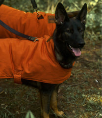 L.L.Bean For Sale | & Noah Kahan Reversible Field Coat for Dogs