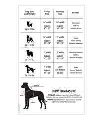 L.L.Bean Discount | Personalized Pet Collar